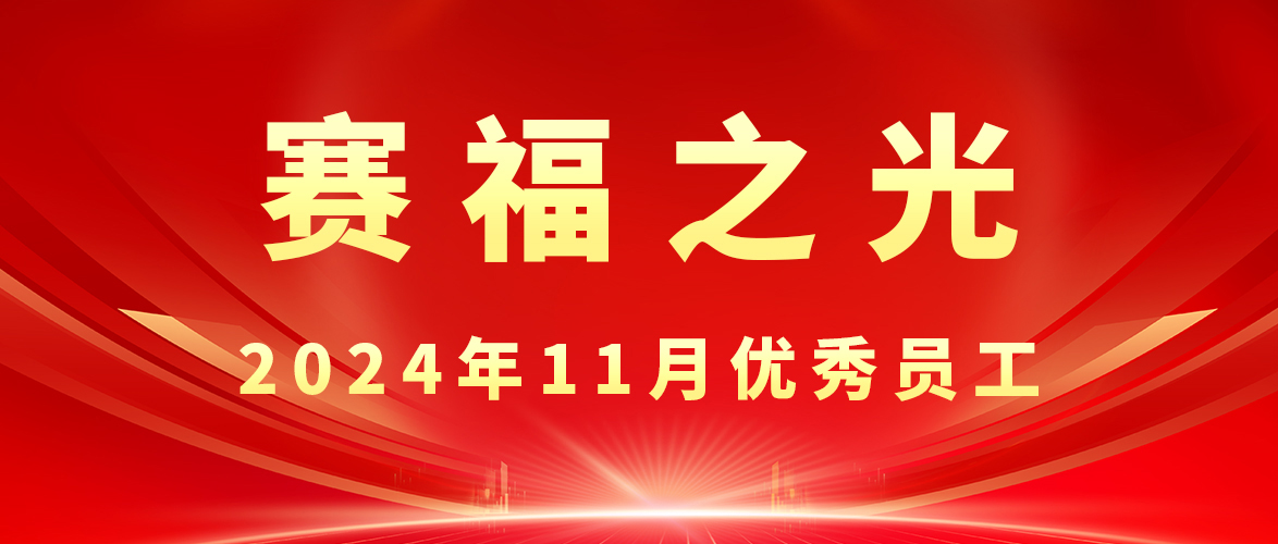 【賽福之光】2024年11月優(yōu)秀員工先進事跡
