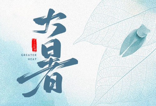 賽福丨蟬聲鳴，夏正濃