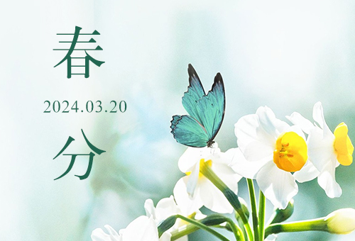 春分到，百花俏，賽福與你邂逅一場春暖花開