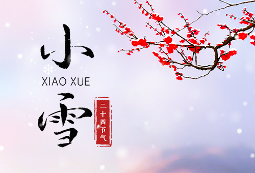 降小雪，落寒氣，賽福相伴暖如春